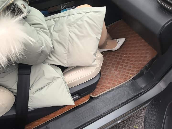 Фото 8 - Haval Ruge