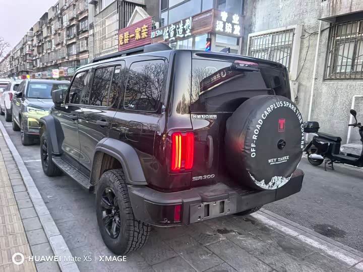 Фото 2 - Tank 300