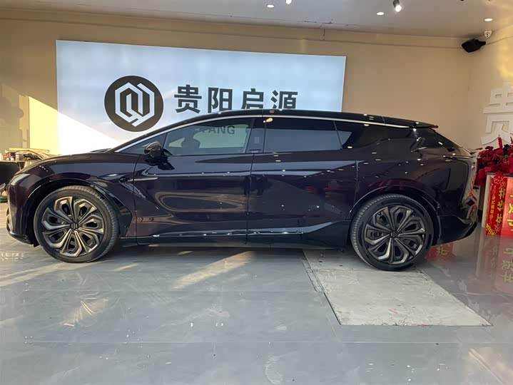 Фото 3 - HiPhi X