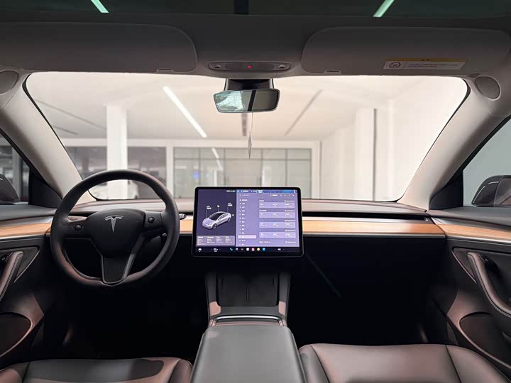 Фото 4 - Tesla Model 3