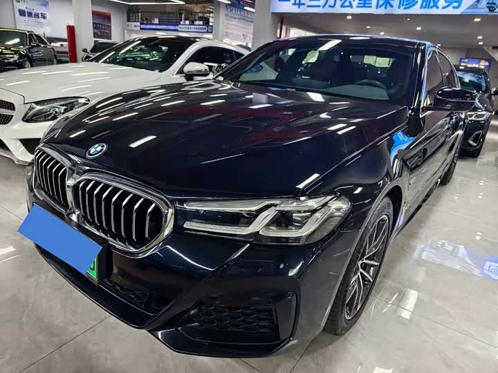 Фото 1 - BMW 5 Series Hybrid