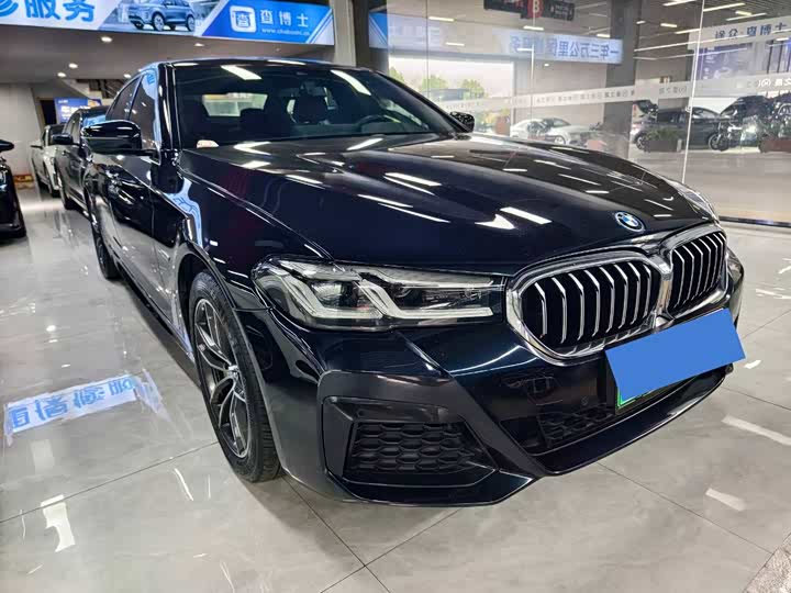 Фото 3 - BMW 5 Series Hybrid