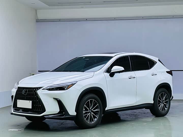 Фото 1 - Lexus NX