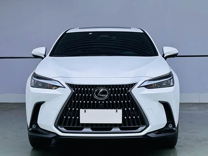 Фото 2 - Lexus NX