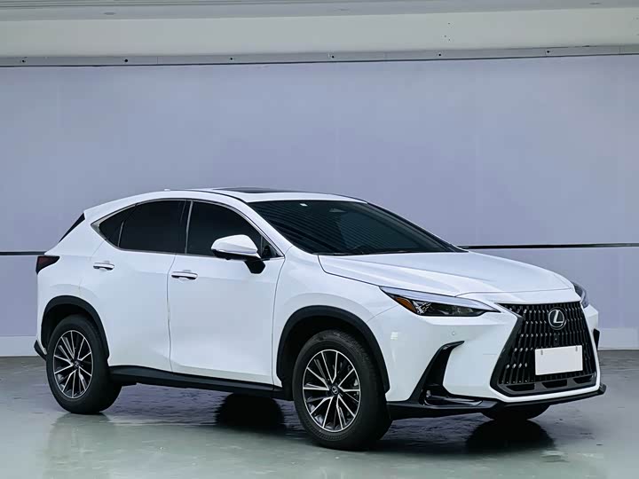 Фото 3 - Lexus NX