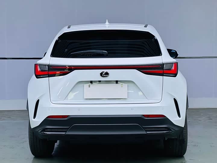 Фото 5 - Lexus NX