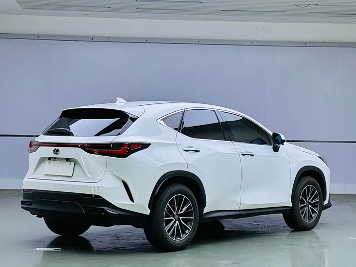 Фото 6 - Lexus NX
