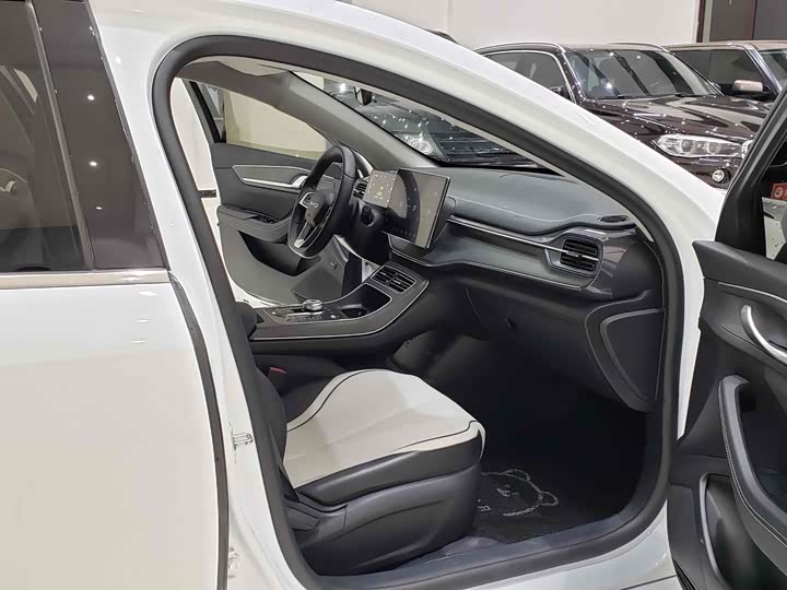 Фото 7 - BYD Destroyer 05