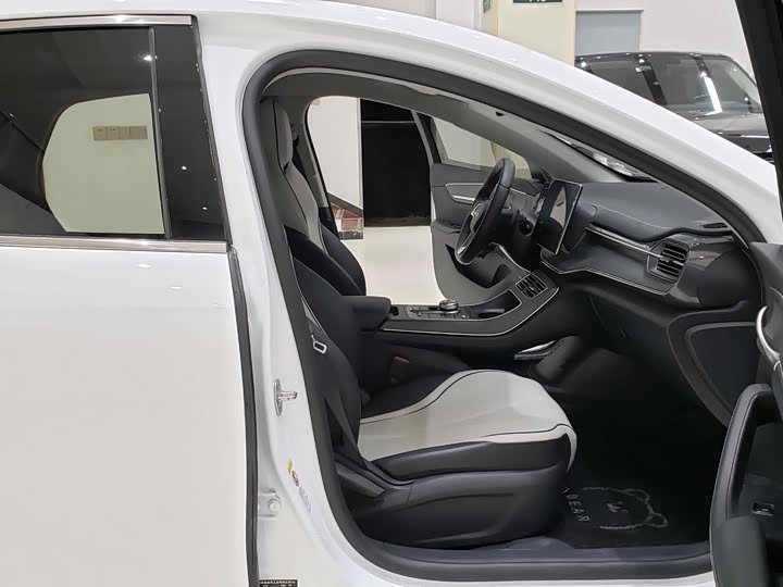 Фото 8 - BYD Destroyer 05