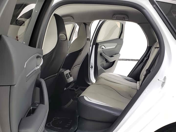 Фото 9 - BYD Destroyer 05