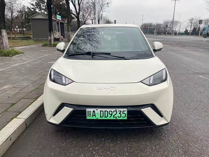 Фото 1 - BYD Seagull