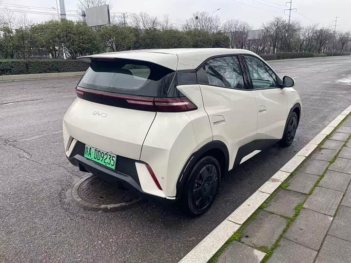 Фото 7 - BYD Seagull