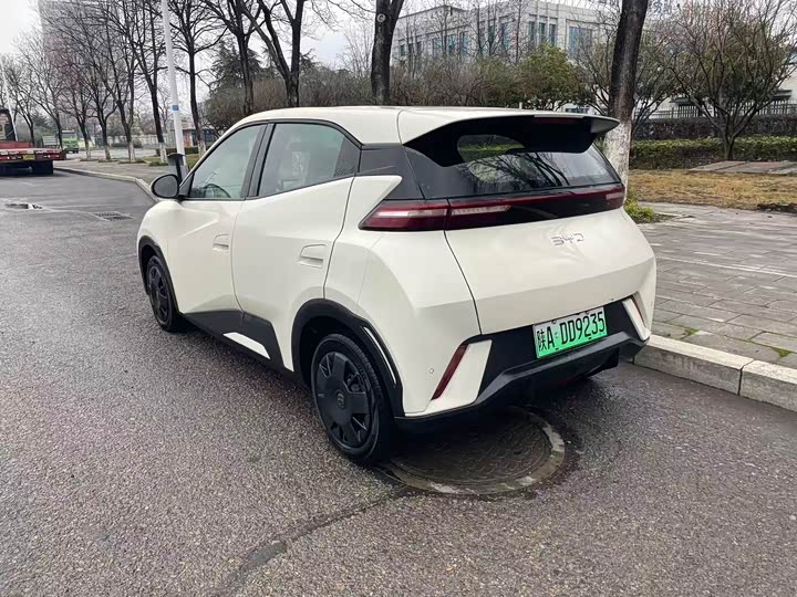 Фото 8 - BYD Seagull