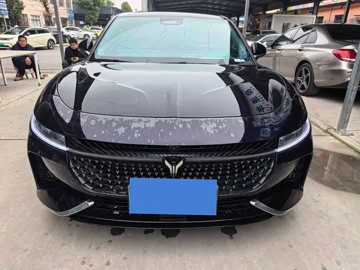 Фото 2 - Voyah Passion