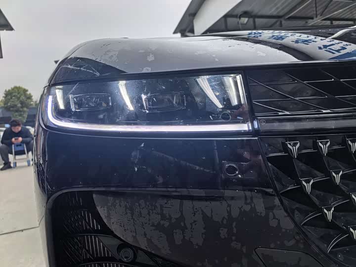 Фото 4 - Voyah Passion