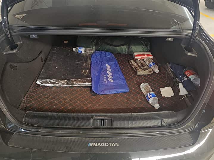 Фото 4 - Volkswagen Magotan GTE Hybrid