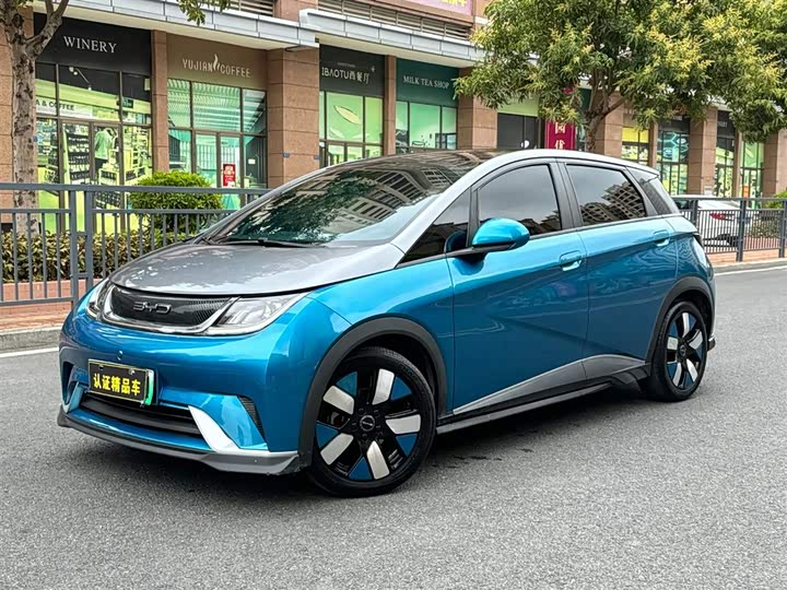 Фото 1 - BYD Dolphin