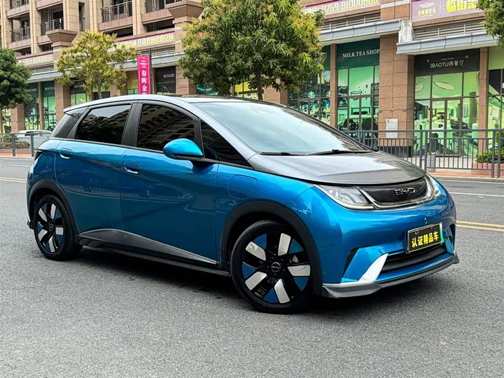 Фото 3 - BYD Dolphin