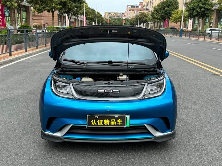 Фото 5 - BYD Dolphin