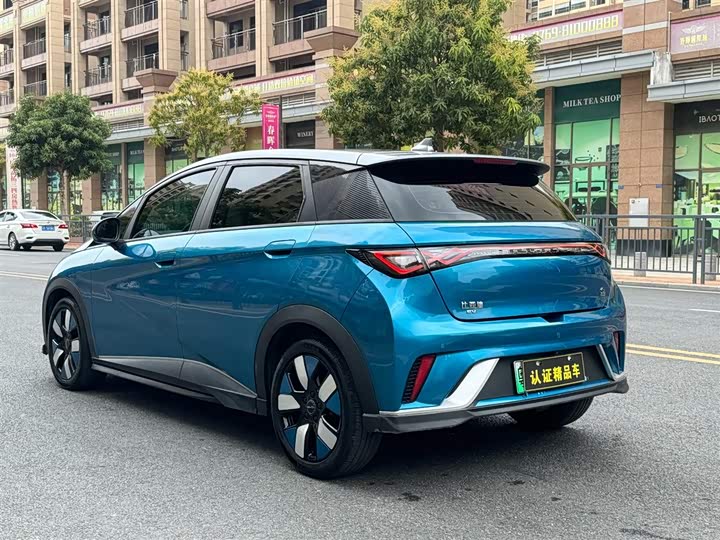 Фото 9 - BYD Dolphin