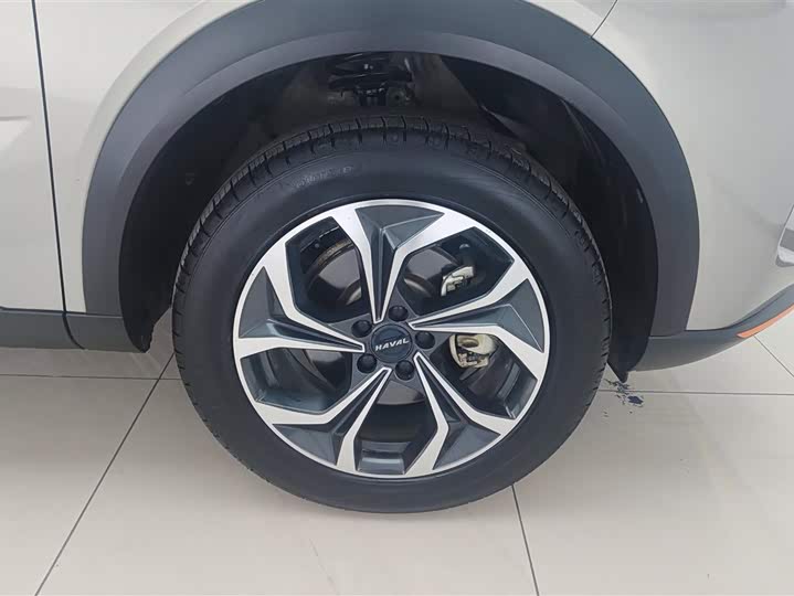 Фото 6 - Haval F7 (Monster)