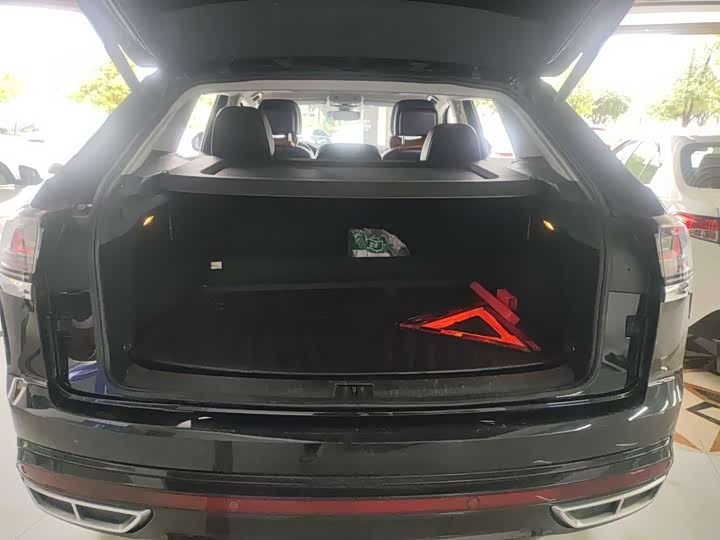 Фото 8 - Volkswagen Teramont X