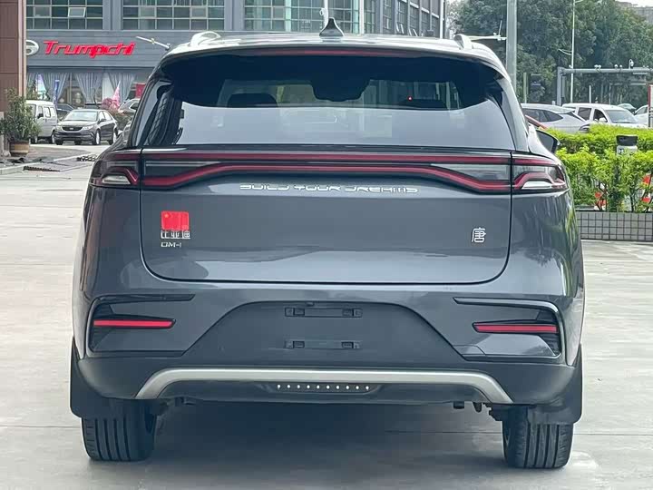 Фото 4 - BYD Tang Hybrid/EV