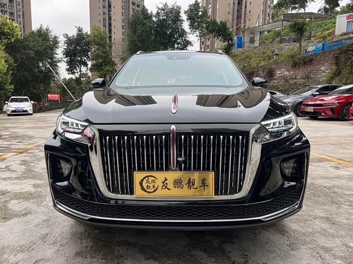 Фото 2 - Hongqi HS5