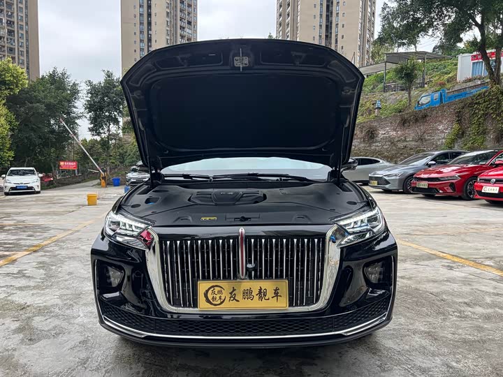 Фото 4 - Hongqi HS5