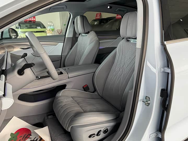 Фото 5 - Voyah Passion