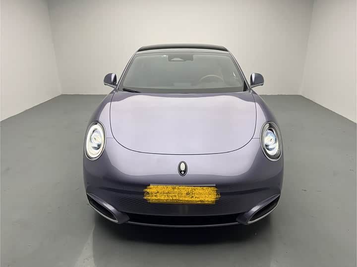 Photo 2 - Ora Lightning Cat (07)