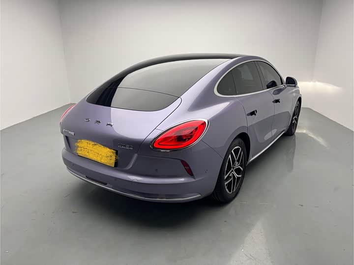 Photo 4 - Ora Lightning Cat (07)