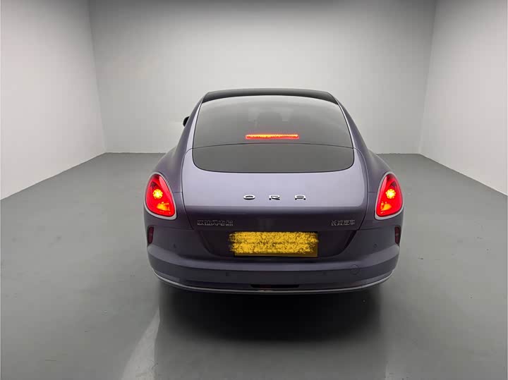 Photo 5 - Ora Lightning Cat (07)