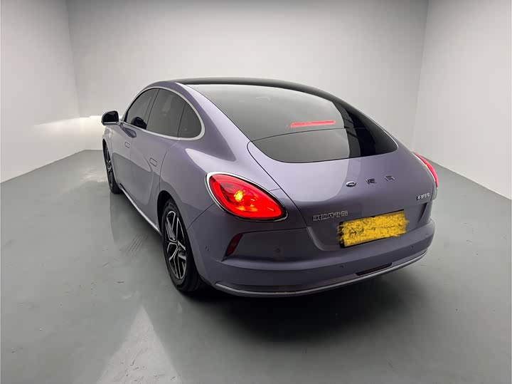 Photo 6 - Ora Lightning Cat (07)