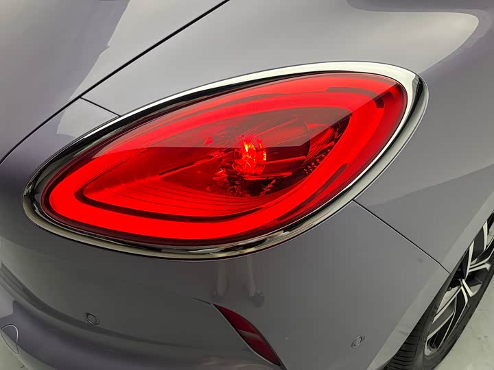 Photo 8 - Ora Lightning Cat (07)