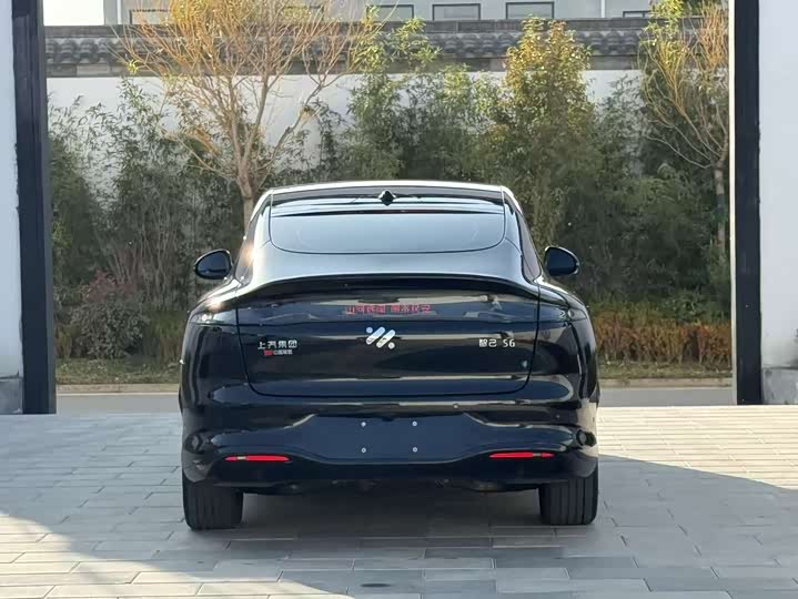 Фото 5 - IM motors LS6