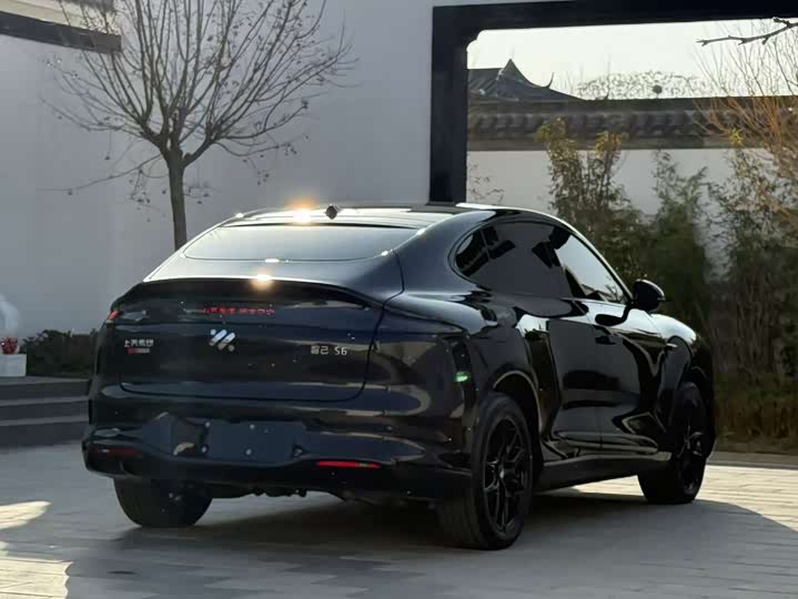 Фото 6 - IM motors LS6