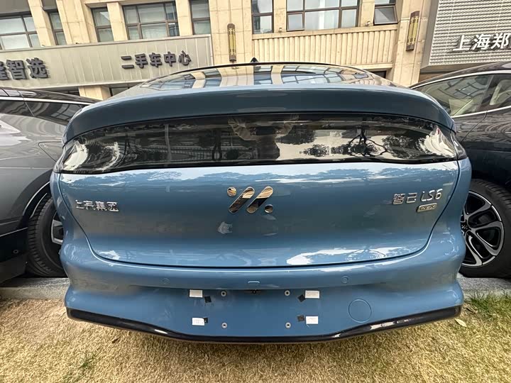 Фото 6 - IM motors LS6