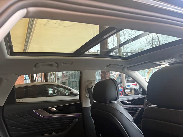 Photo 7 - Hongqi HS5