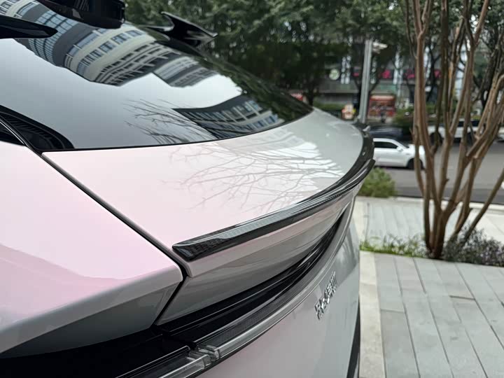 Фото 7 - Lotus Eletre