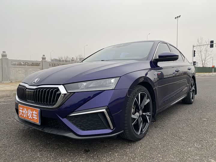 Фото 1 - Skoda Octavia Pro