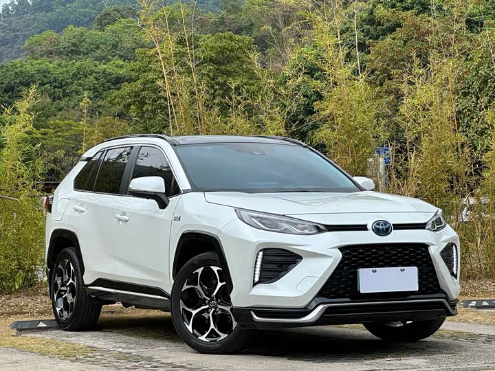 Фото 3 - Toyota Wildlander Hybrid