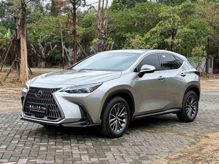 Фото 1 - Lexus NX
