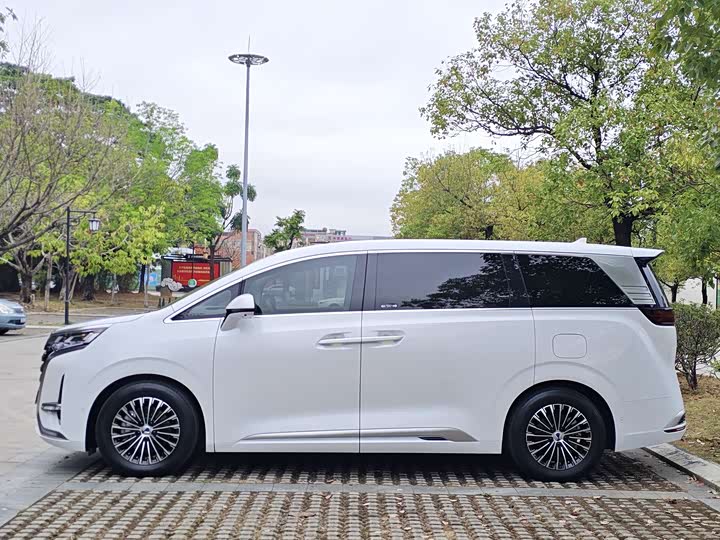 Фото 5 - Denza D9