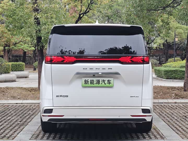 Фото 6 - Denza D9