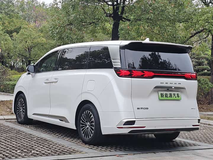 Фото 7 - Denza D9