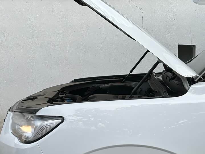 Фото 4 - Great Wall Pao