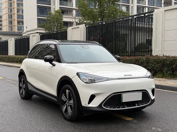 Фото 3 - Smart #1