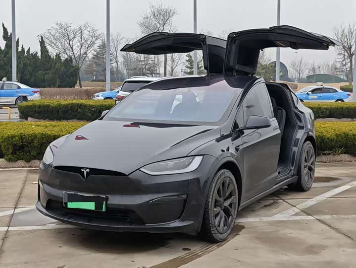 Фото 1 - Tesla Model X