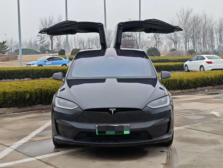 Фото 2 - Tesla Model X